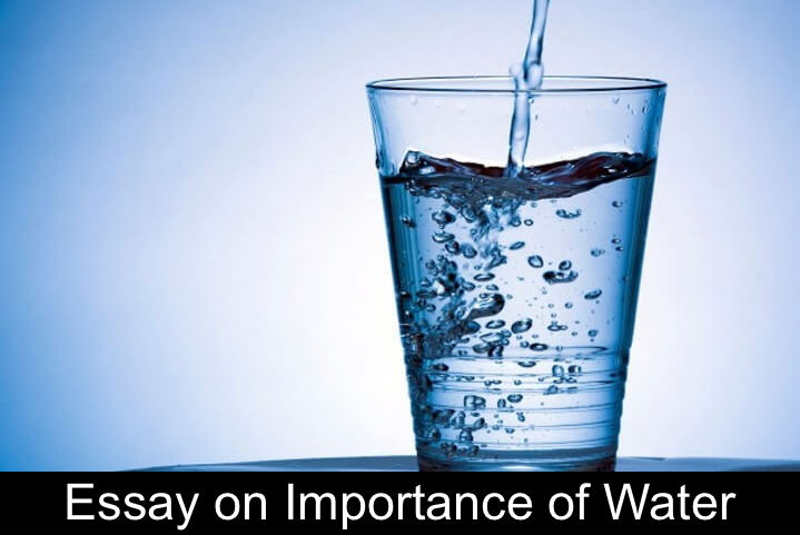 Essay on Importance of Water