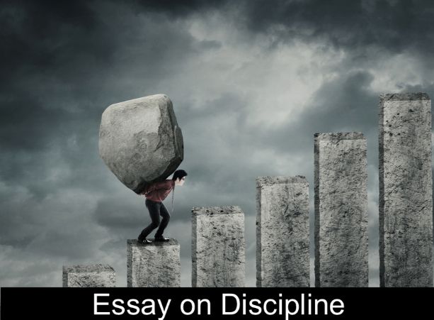 Essay on Discipline