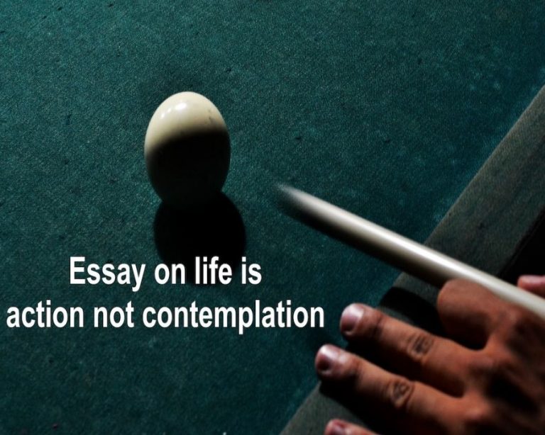 essay life is action not contemplation