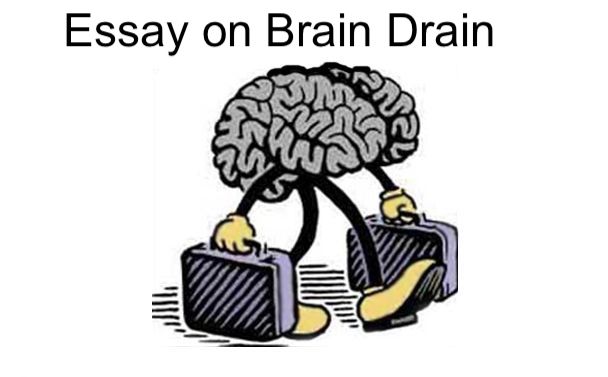Essays on brain drain