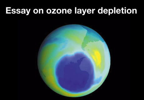essay on ozone layer in 200 words