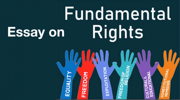 essay on fundamental human rights